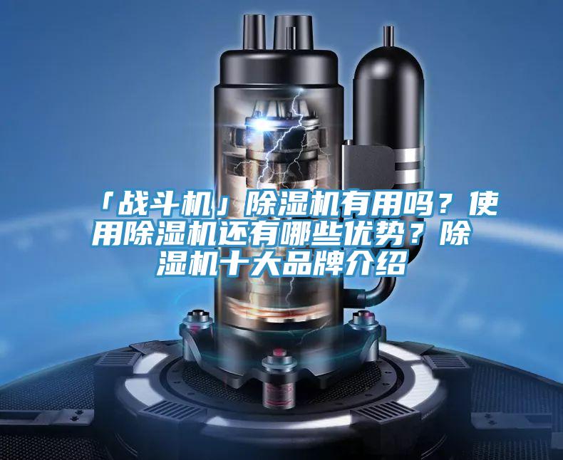 「戰斗機」除濕機有用嗎？使用除濕機還有哪些優勢？除濕機十大品牌介紹
