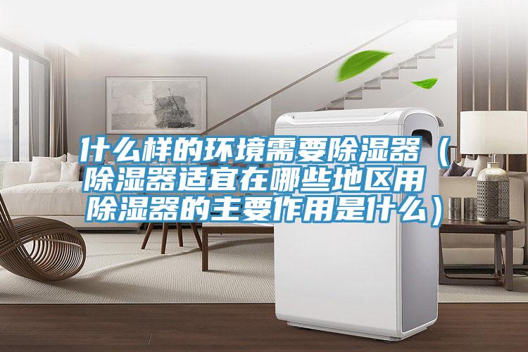什么樣的環境需要除濕器（除濕器適宜在哪些地區用 除濕器的主要作用是什么）