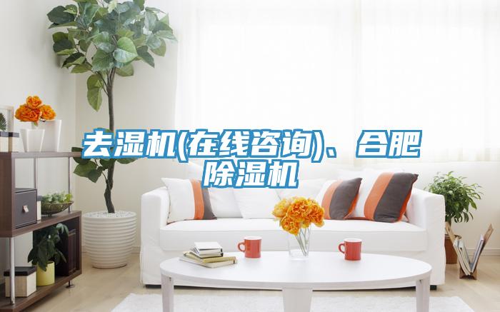 去濕機(在線咨詢)、合肥除濕機