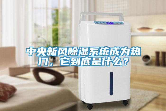 中央新風除濕系統成為熱門，它到底是什么？