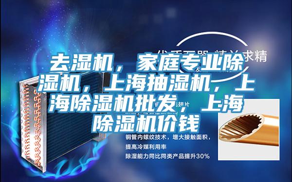 去濕機，家庭專業(yè)除濕機，上海抽濕機，上海除濕機批發(fā)，上海除濕機價錢