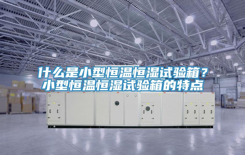 什么是小型恒溫恒濕試驗箱？小型恒溫恒濕試驗箱的特點