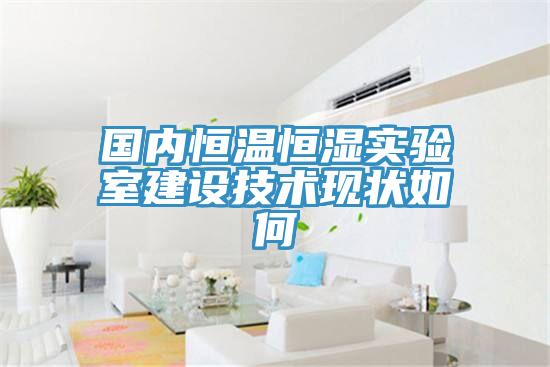 國內恒溫恒濕實驗室建設技術現狀如何