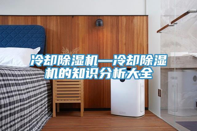 冷卻除濕機—冷卻除濕機的知識分析大全