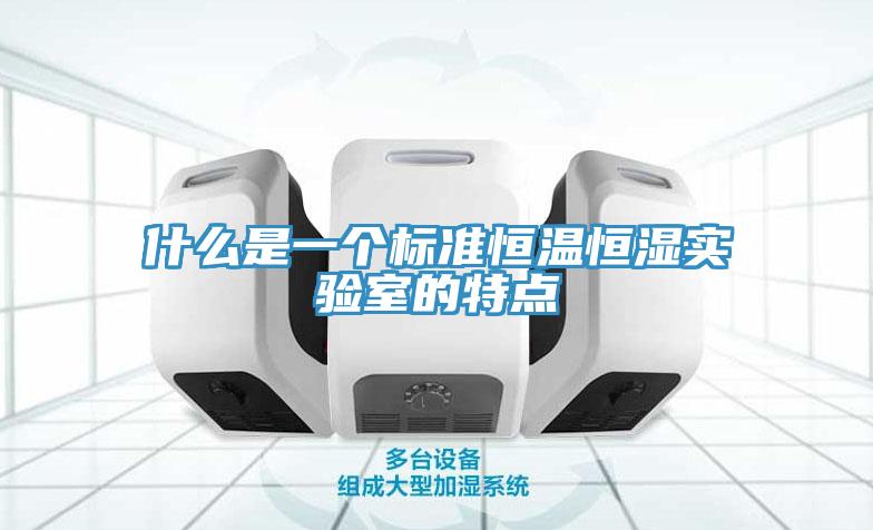 什么是一個標(biāo)準(zhǔn)恒溫恒濕實驗室的特點