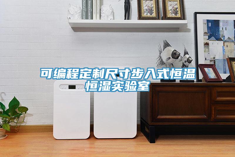 可編程定制尺寸步入式恒溫恒濕實驗室