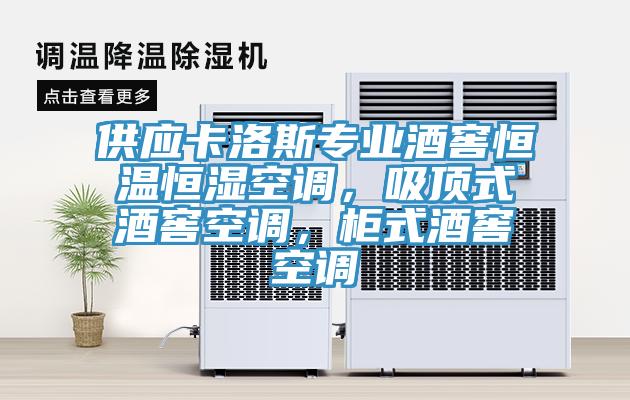 供應卡洛斯專業酒窖恒溫恒濕空調，吸頂式酒窖空調，柜式酒窖空調