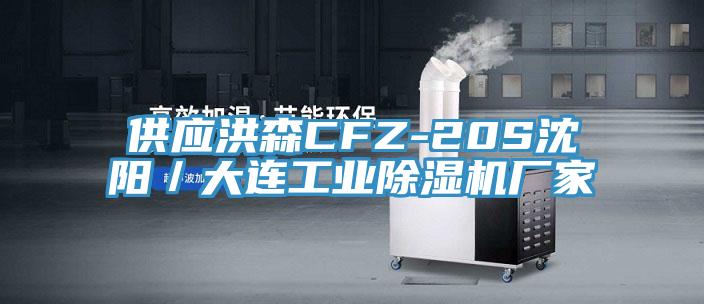 供應洪森CFZ-20S沈陽／大連工業除濕機廠家
