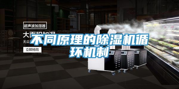 不同原理的除濕機循環機制