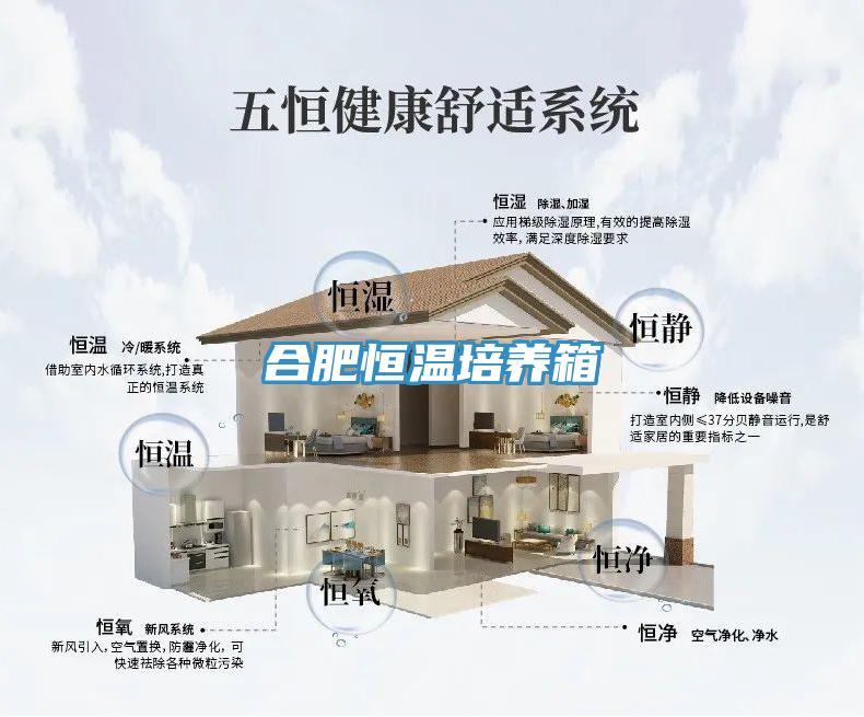 合肥恒溫培養箱