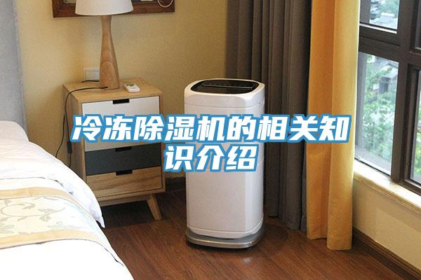 冷凍除濕機的相關知識介紹