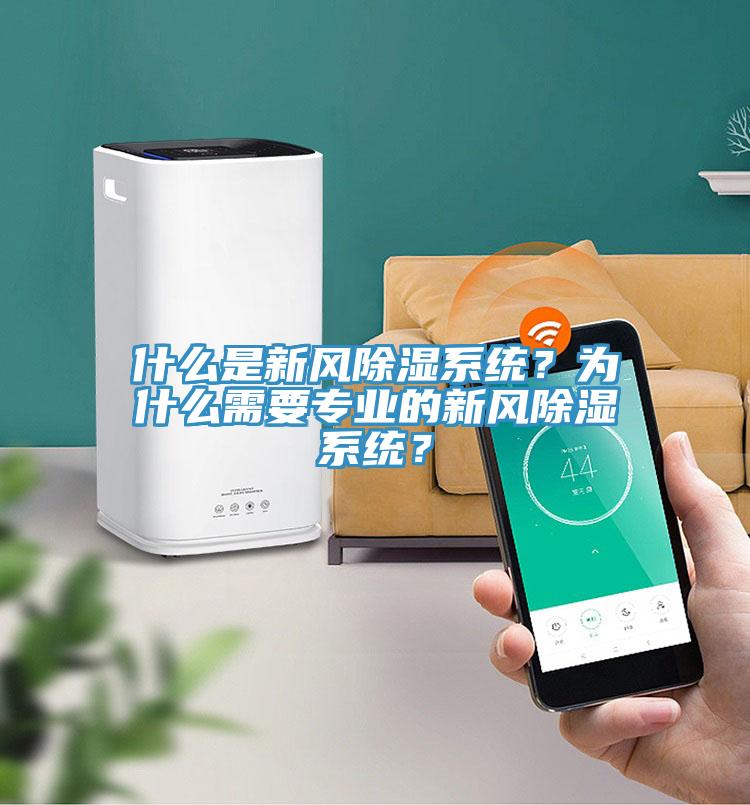 什么是新風除濕系統？為什么需要專業的新風除濕系統？
