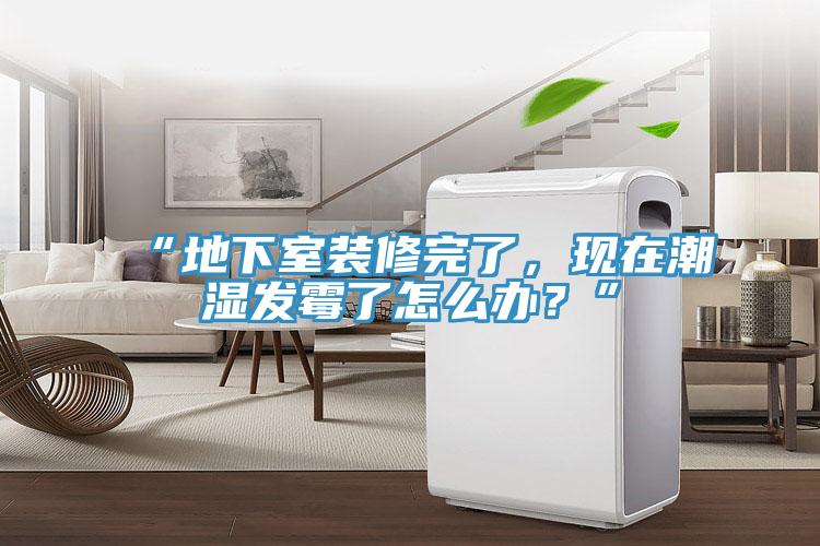 “地下室裝修完了，現在潮濕發霉了怎么辦？”