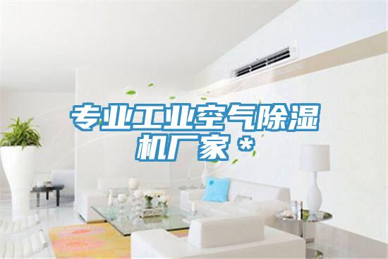 專業工業空氣除濕機廠家＊