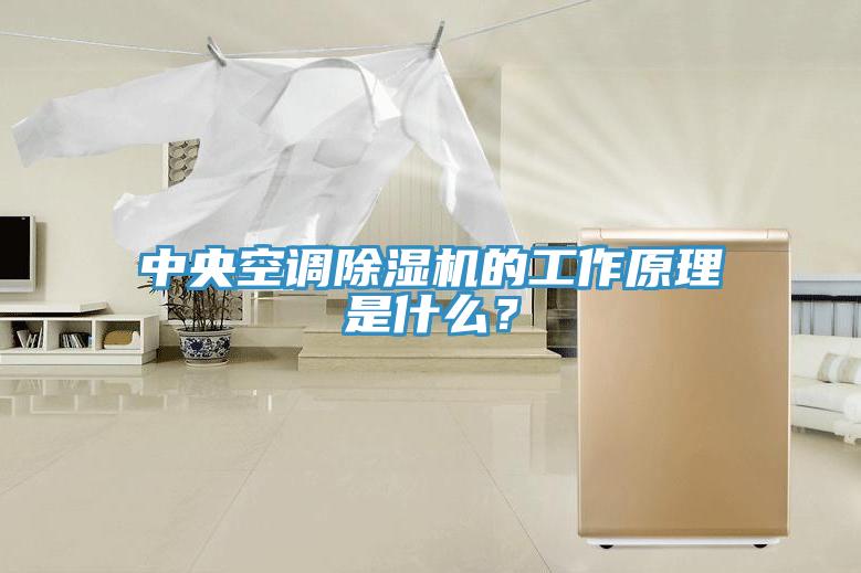 中央空調(diào)除濕機的工作原理是什么？