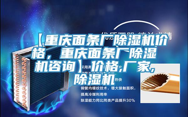 【重慶面條廠除濕機價格，重慶面條廠除濕機咨詢】價格,廠家,除濕機