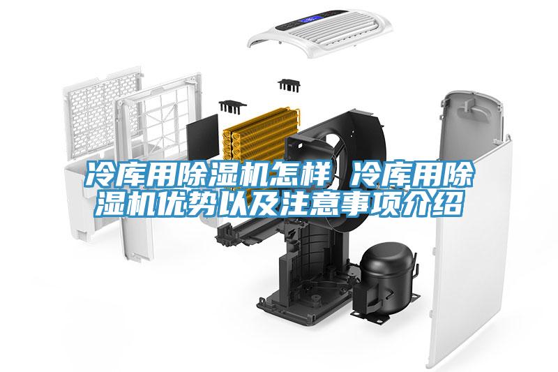 冷庫用除濕機怎樣 冷庫用除濕機優勢以及注意事項介紹
