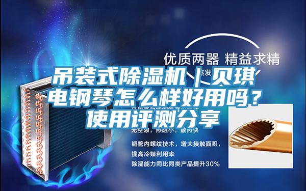 吊裝式除濕機｜貝琪電鋼琴怎么樣好用嗎？使用評測分享