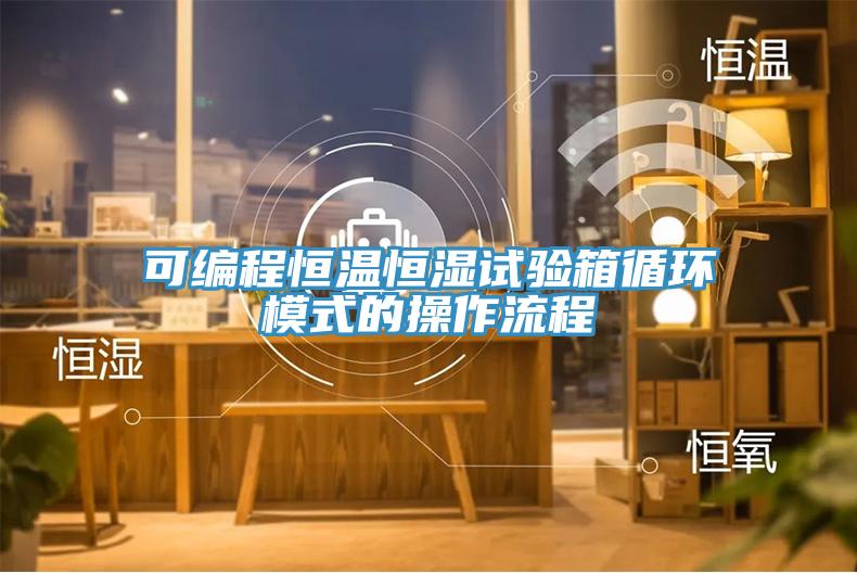 可編程恒溫恒濕試驗箱循環模式的操作流程