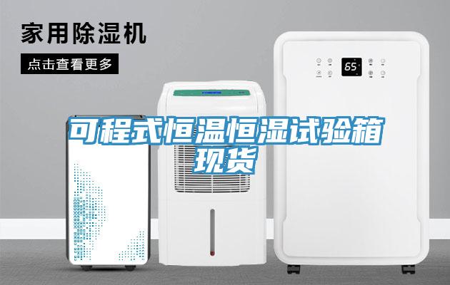 可程式恒溫恒濕試驗箱現貨