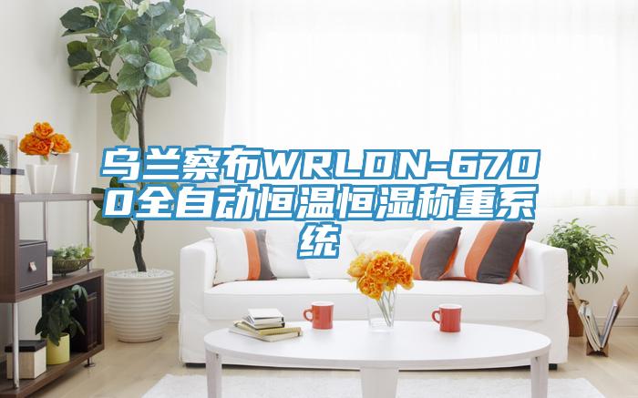 烏蘭察布WRLDN-6700全自動恒溫恒濕稱重系統