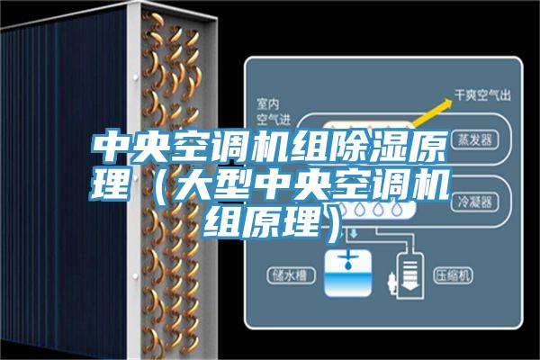 中央空調(diào)機組除濕原理（大型中央空調(diào)機組原理）