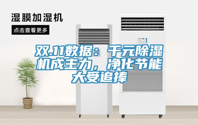 雙.11數(shù)據(jù)：千元除濕機成主力，凈化節(jié)能大受追捧
