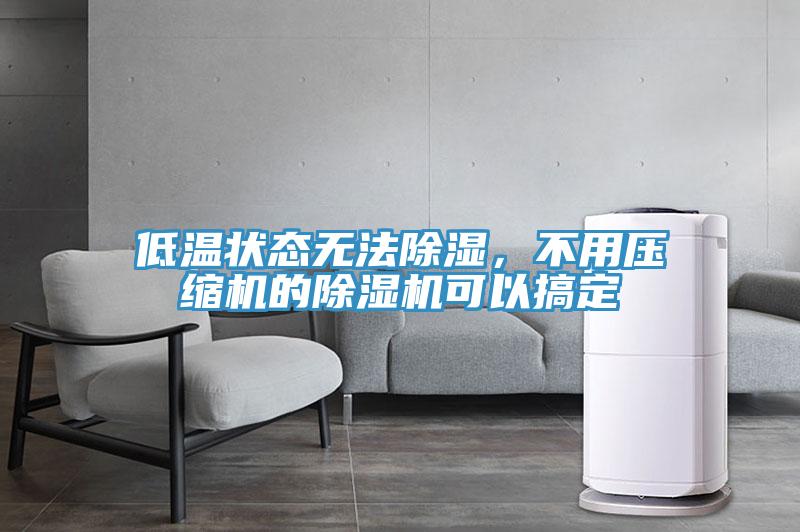 低溫狀態無法除濕，不用壓縮機的除濕機可以搞定