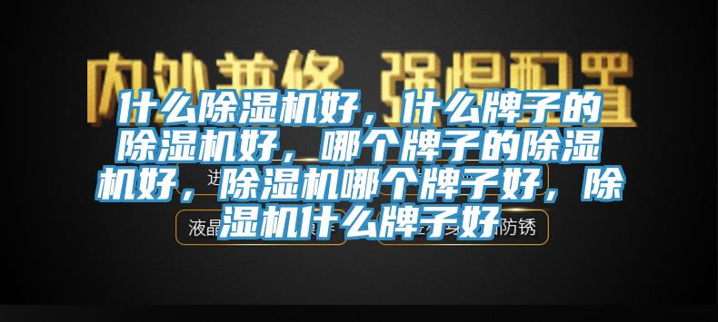 什么除濕機好，什么牌子的除濕機好，哪個牌子的除濕機好，除濕機哪個牌子好，除濕機什么牌子好