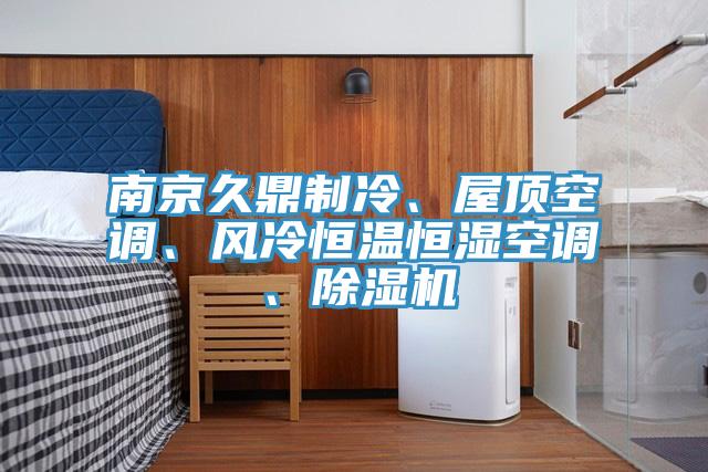 南京久鼎制冷、屋頂空調(diào)、風(fēng)冷恒溫恒濕空調(diào)、除濕機