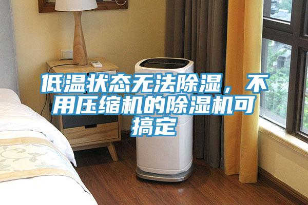 低溫狀態無法除濕，不用壓縮機的除濕機可搞定
