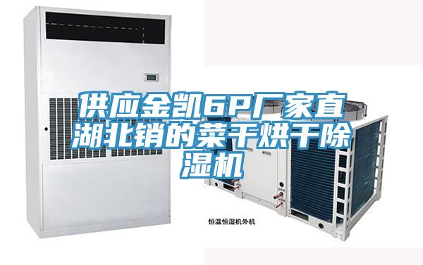 供應金凱6P廠家直湖北銷的菜干烘干除濕機