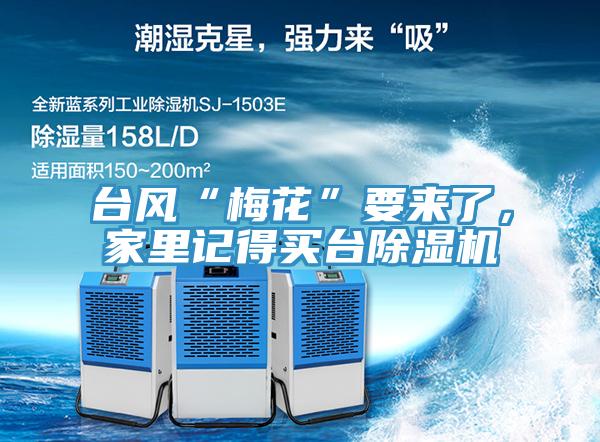臺(tái)風(fēng)“梅花”要來(lái)了，家里記得買臺(tái)除濕機(jī)