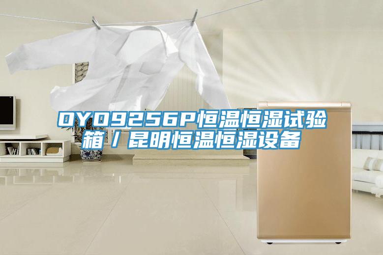 OYO9256P恒溫恒濕試驗箱／昆明恒溫恒濕設(shè)備