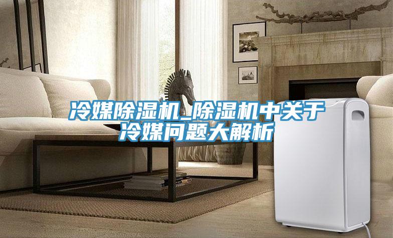 冷媒除濕機_除濕機中關于冷媒問題大解析