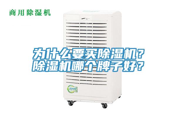 為什么要買(mǎi)除濕機(jī)？除濕機(jī)哪個(gè)牌子好？