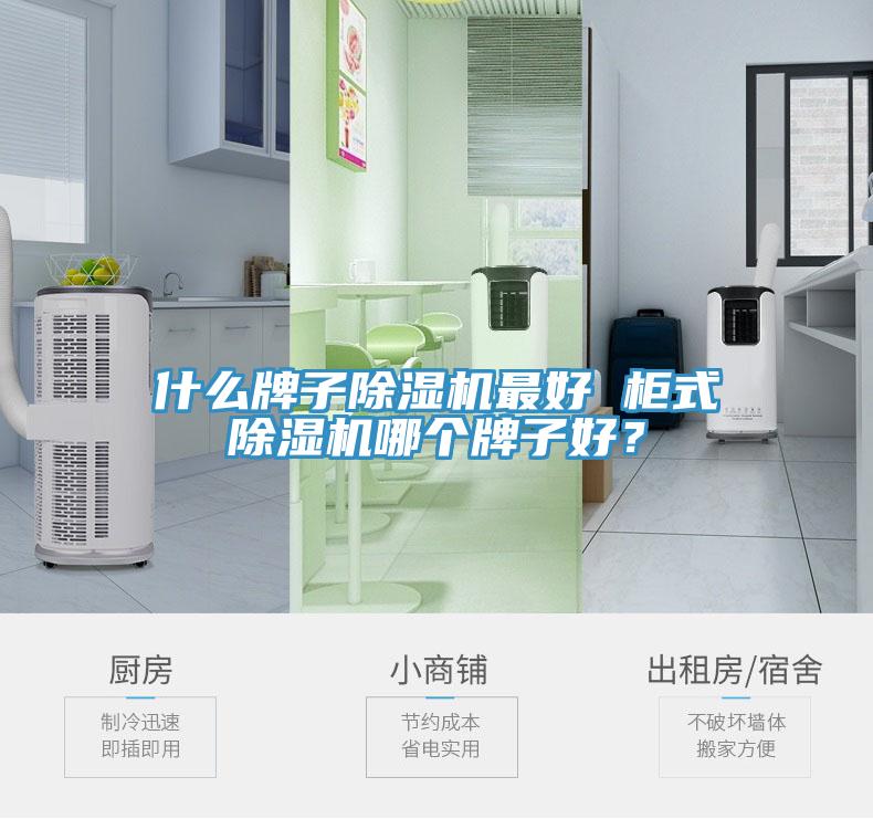 什么牌子除濕機最好 柜式除濕機哪個牌子好？