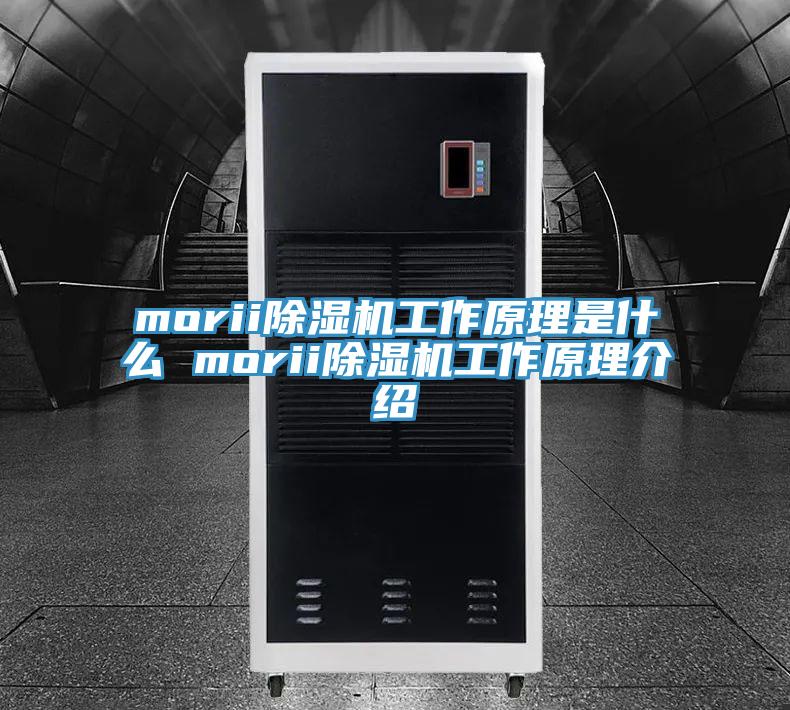morii除濕機(jī)工作原理是什么 morii除濕機(jī)工作原理介紹