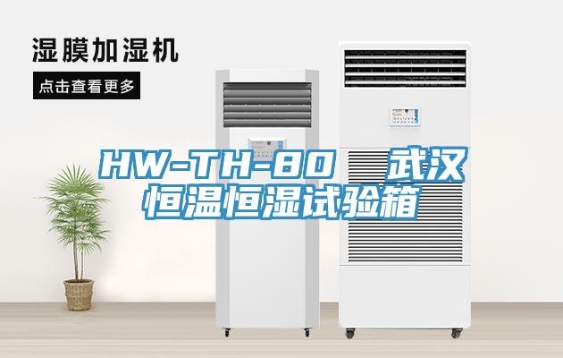 HW-TH-80  武漢恒溫恒濕試驗箱
