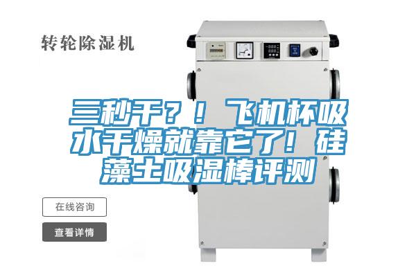 三秒干？! 飛機杯吸水干燥就靠它了! 硅藻土吸濕棒評測