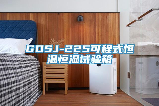 GDSJ-225可程式恒溫恒濕試驗箱