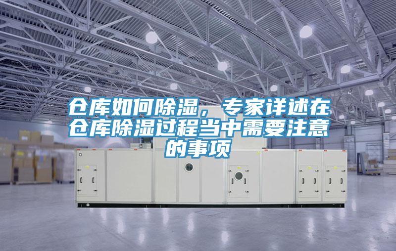 倉庫如何除濕，專家詳述在倉庫除濕過程當中需要注意的事項