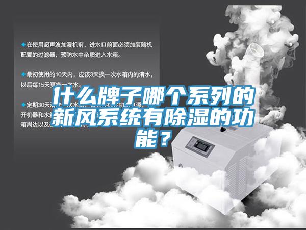 什么牌子哪個系列的新風系統有除濕的功能？