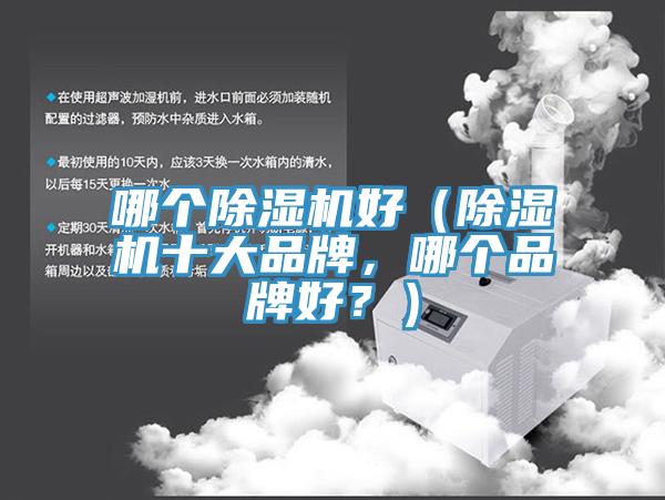 哪個(gè)除濕機(jī)好（除濕機(jī)十大品牌，哪個(gè)品牌好？）