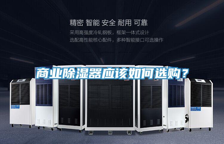 商業除濕器應該如何選購？