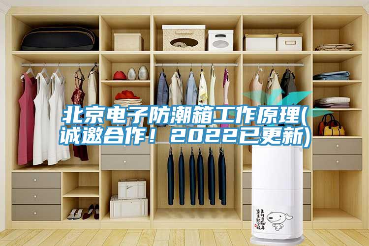 北京電子防潮箱工作原理(誠邀合作！2022已更新)