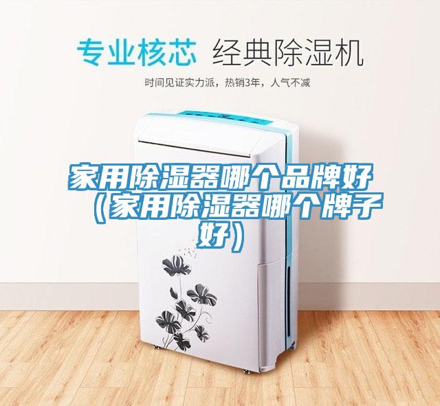家用除濕器哪個品牌好（家用除濕器哪個牌子好）
