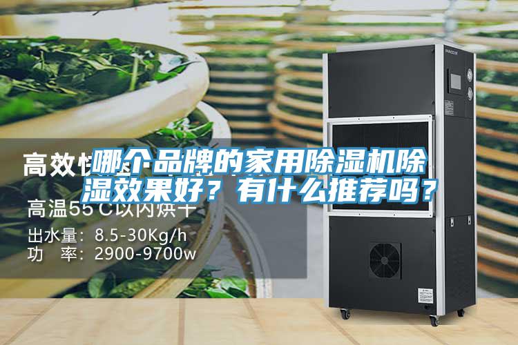 哪個(gè)品牌的家用除濕機(jī)除濕效果好？有什么推薦嗎？