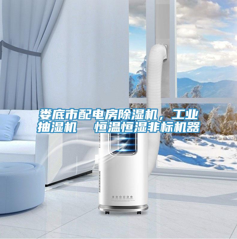 婁底市配電房除濕機，工業(yè)抽濕機  恒溫恒濕非標(biāo)機器