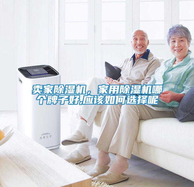 賣家除濕機，家用除濕機哪個牌子好,應該如何選擇呢